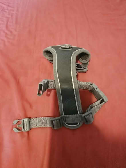 Photo of free Dog Harness (Bellingham SE6) #2