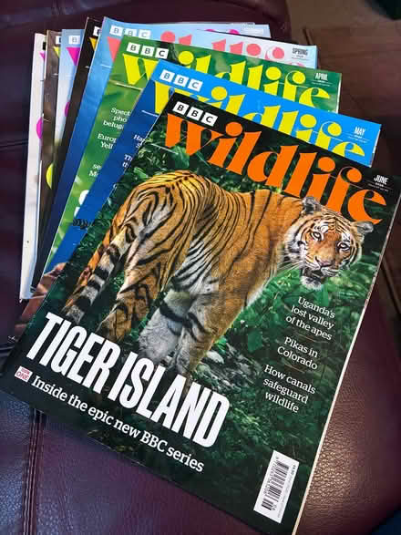 Photo of free BBC Wildlife magazines (Lower Tranmere CH41) #1
