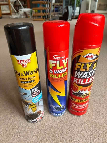 Photo of free Fly and Wasp killer aerosols (Great Boughton CH3) #1