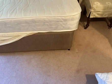 Photo of free Single divan bed (Malvern Link WR13) #3