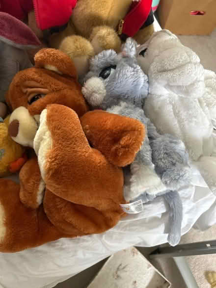 Photo of free All the teddies (Little Chalfont HP8) #3