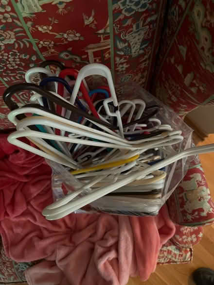 Photo of free Plastic Hangers (Farmington Hills) #2