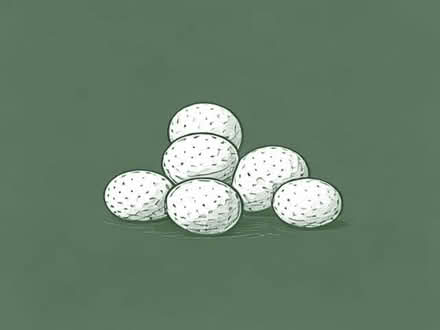 Photo of free Used golf balls (Temple Street OX4) #1