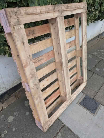 Photo of free Wooden Pallets (Sidcup DA15) #1