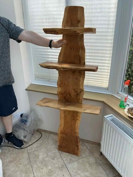 Photo of free Shelving unit with fastener (Shoreham By Sea BN43) #1
