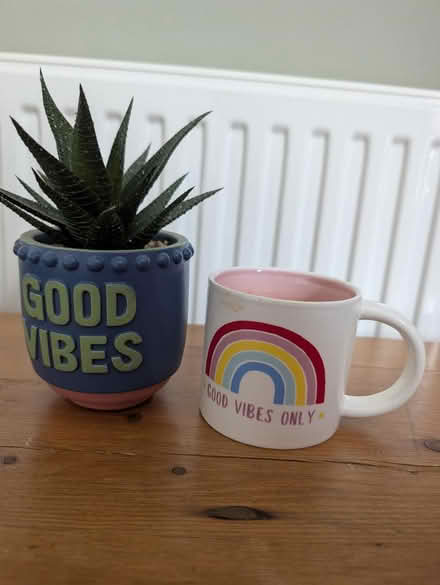 Photo of free Good vibes only faux plant & mug (Kings Norton) #1