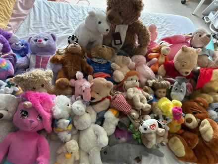 Photo of free All the teddies (Little Chalfont HP8) #1