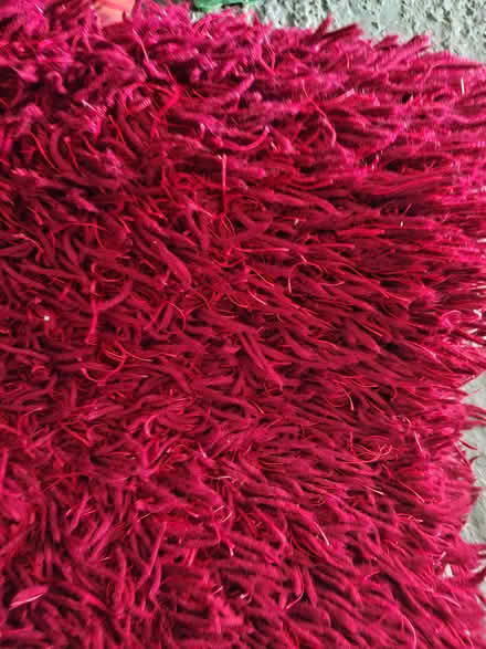 Photo of free Wool rug (Staines) #2