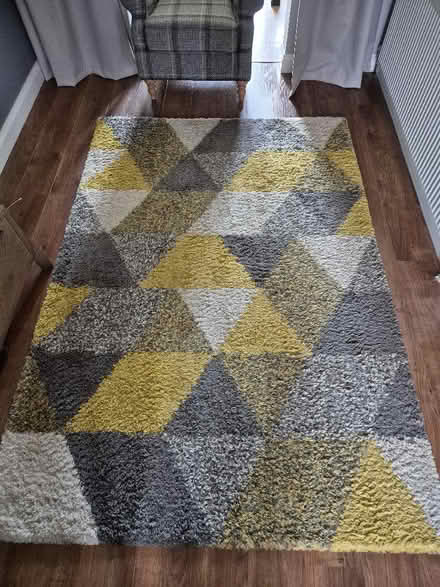 Photo of free Dunelm rug - 160cm x 230cm (Minster Lovell OX29) #1