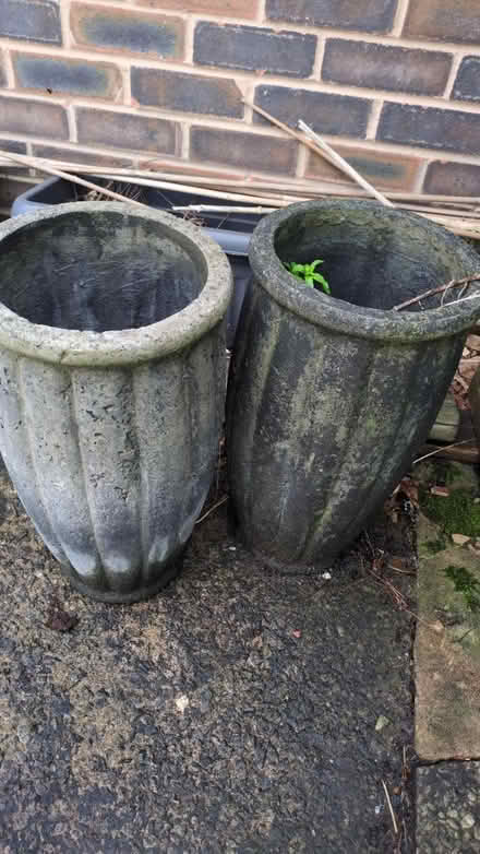 Photo of free Tall plant pots (Urmston M41) #1