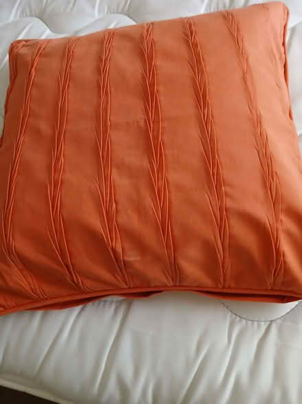 Photo of free Assorted Cushions (South Darenth DA4) #2
