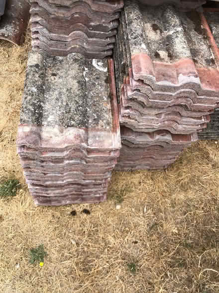 Photo of free Double Roman roof tiles (Wallingford OX10) #1