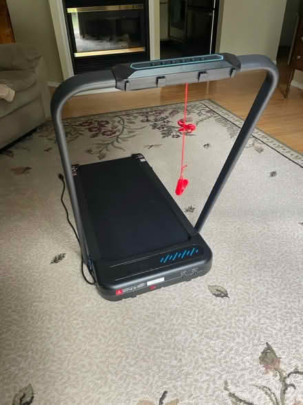 Photo of free Walking pad (Jackson) #3