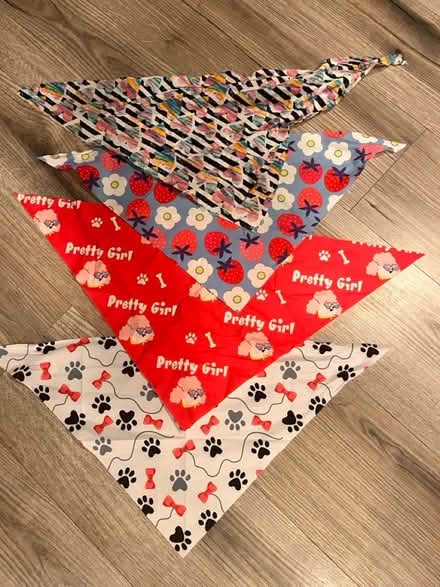Photo of free Doggie bandannas (60015) #1