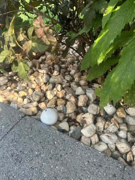 Photo of free Garden Rocks (Phoenixville, PA) #1
