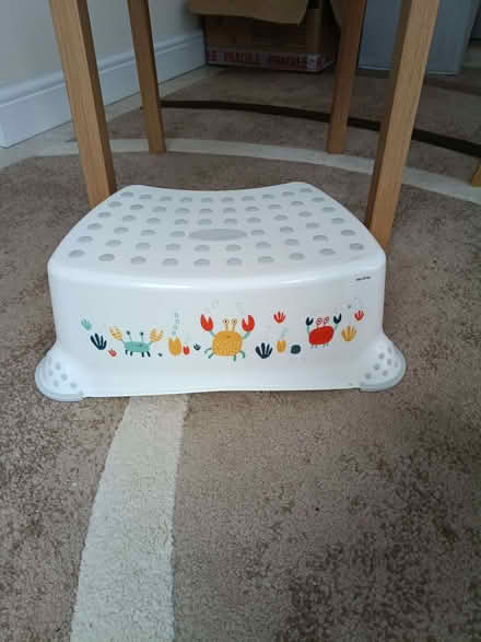 Photo of free Infants step (Portishead BS20) #1
