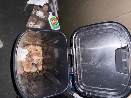 Photo of free Black plastic trash bin (1075 Valencia Avenue) #4