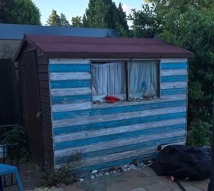 Photo of free Shed panels from 8x6 shed (Kennington OX1) #1