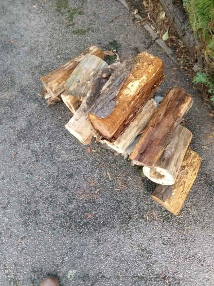 Photo of free Logs for Wood Burner (Cropston) #2