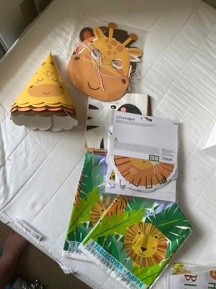 Photo of free jungle themed bday party stuff (Woodlands TW7) #1