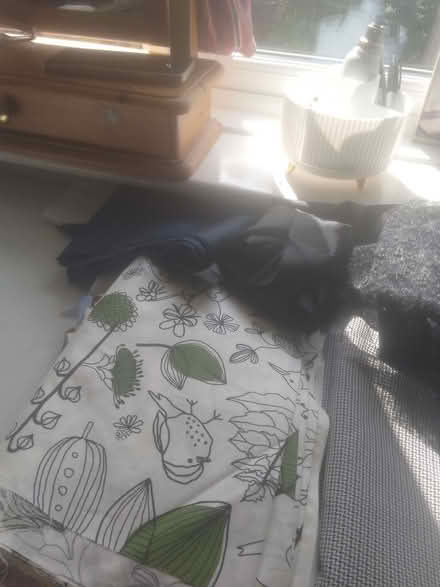 Photo of free Fabric mostly offcuts. (The Prinnels SN5) #3
