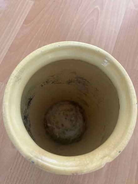 Photo of free Olive pattern vase (Willingdon BN22) #3