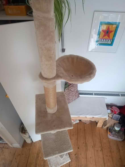 Photo of free Cat tree (M21, Chorlton) #2