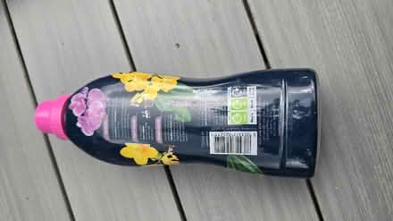 Photo of free Orchid water (Cheltenham GL53) #2