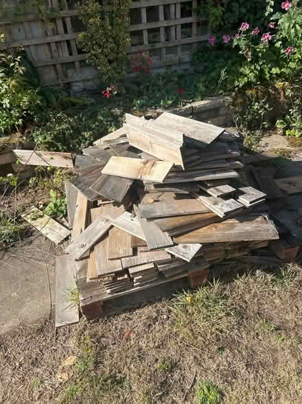 Photo of free Cedar shingles (Hitchin SG5) #1