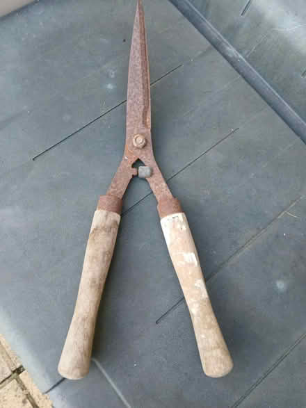 Photo of free Garden Shears (Hangleton, West Hove BN3) #1