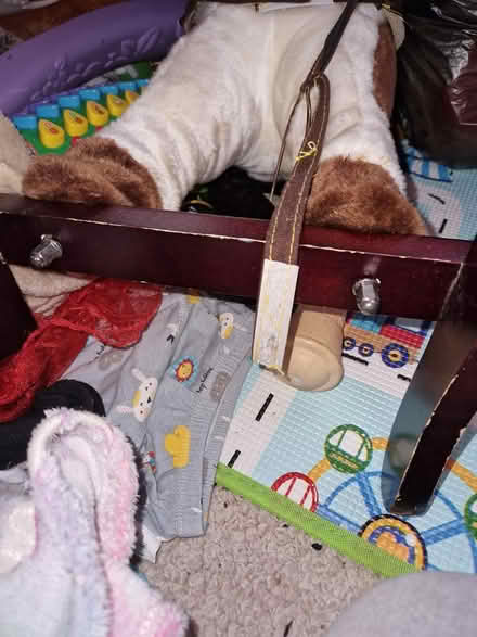Photo of free Rocking horse (Swancombe da100aq) #3
