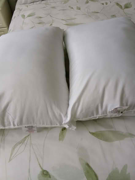 Photo of free Brand new M&S pillows (Heacham PE31) #2