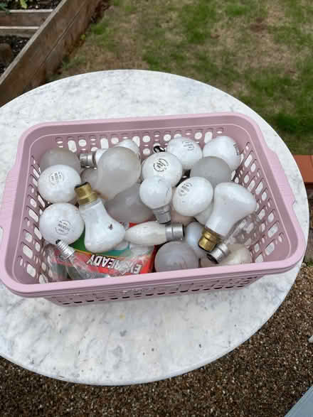 Photo of free Old style incandescent light bulbs (West Bridgford, Nottingham NG2) #1