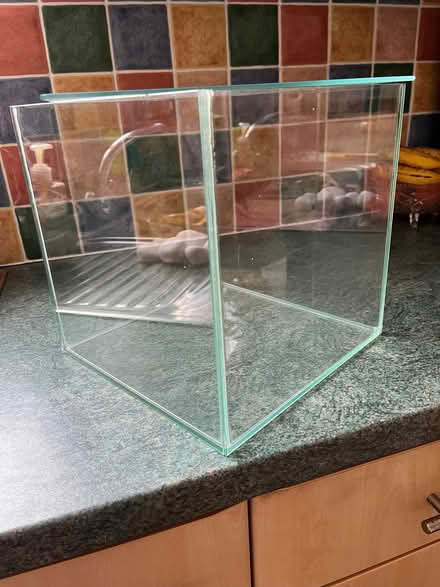 Photo of free Ciano small fish tank with lid. (Crediton EX17) #1