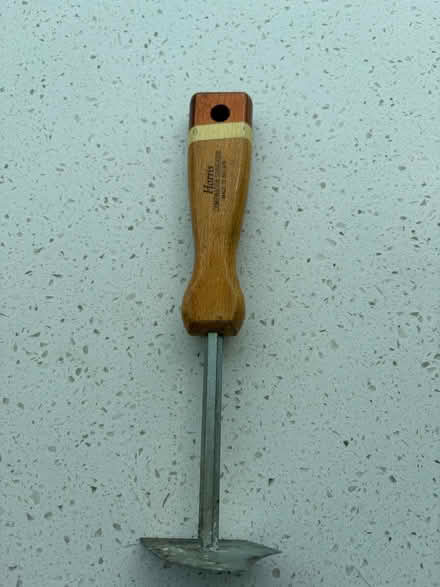 Photo of free Paint scraper (KT13 Weybridge) #3