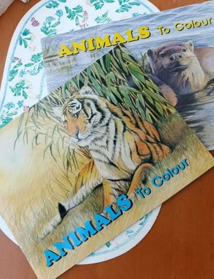 Photo of free Colouring books (slightly used) (Bullbrook, Bracknell RG12) #1