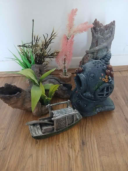 Photo of free Aquarium decorations (CT19 5JW) #1