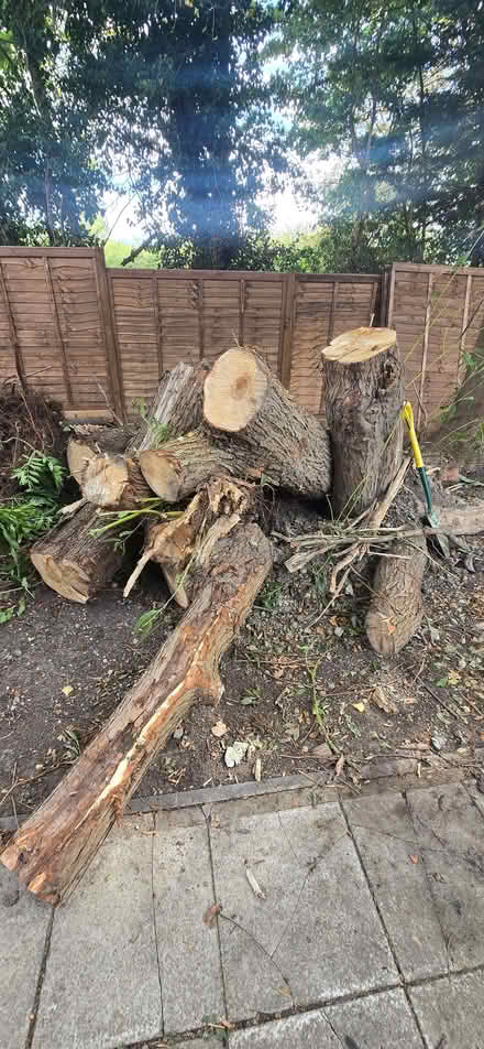 Photo of free wood (Wendover HP22) #2