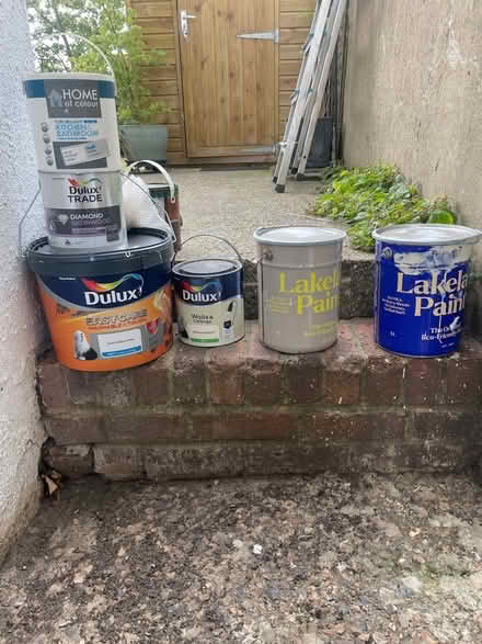 Photo of free Various paint (Anerley SE20) #1