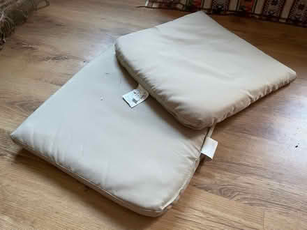 Photo of free 2 Garden chair cushions (Downham BR1) #1
