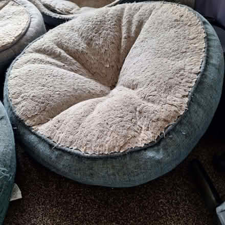 Photo of free Cat/Dog beds (Seaside BN22) #3