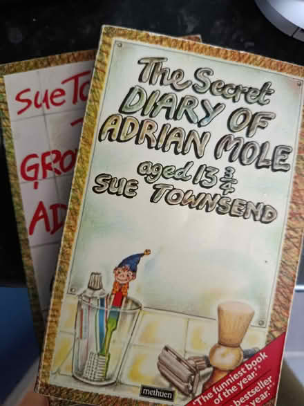 Photo of free Adrian Mole books x2 (Bronllys) #1