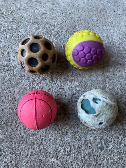 Photo of free Balls (Kaimhill AB12) #1