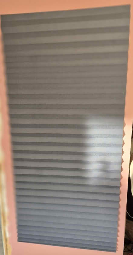 Photo of free Pleated blackout shade (Trend Arlington) #1