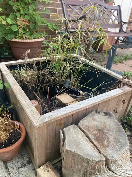 Photo of free Ornamental pond (Cheshunt EN7) #1