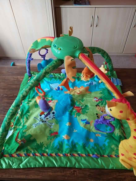 Photo of free Beautiful Fisher Price Baby Playmat (Top Amersham HP6) #1