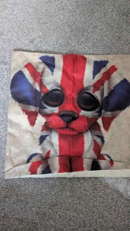 Photo of free Cushion cover (Plaistow E13) #1