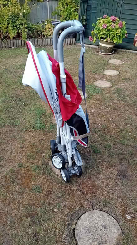 Photo of free Combi buggy (Browns Wood MK7) #4