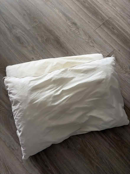 Photo of free Two pillows (Bath, Oldfield) #1
