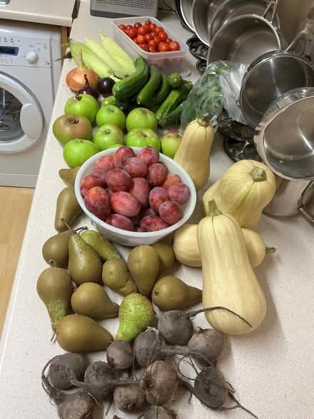 Photo of free Fresh organic garden produce (Hyde Park LS6) #1